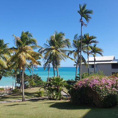 Grand Studio De 41 M², Vue Mer Et Jardin Tropical. Le Gosier  Exterior photo