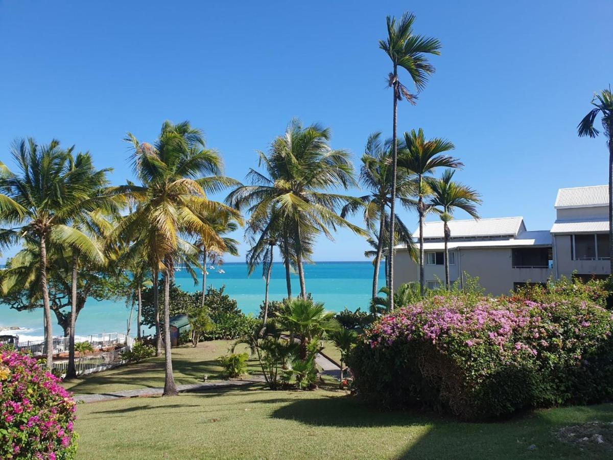 Grand Studio De 41 M², Vue Mer Et Jardin Tropical. Le Gosier  Exterior photo
