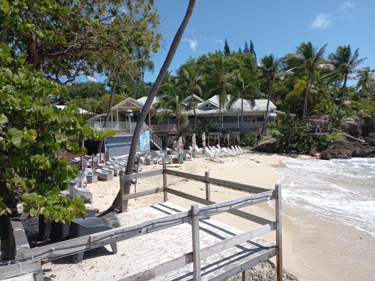 Grand Studio De 41 M², Vue Mer Et Jardin Tropical. Le Gosier  Exterior photo