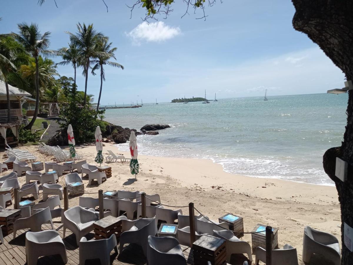 Grand Studio De 41 M², Vue Mer Et Jardin Tropical. Le Gosier  Exterior photo