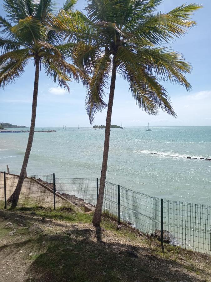 Grand Studio De 41 M², Vue Mer Et Jardin Tropical. Le Gosier  Exterior photo