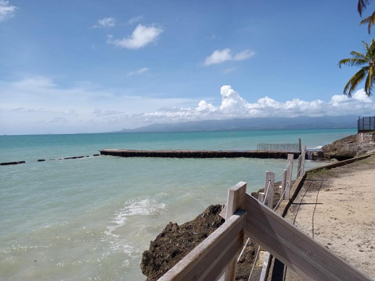 Grand Studio De 41 M², Vue Mer Et Jardin Tropical. Le Gosier  Exterior photo