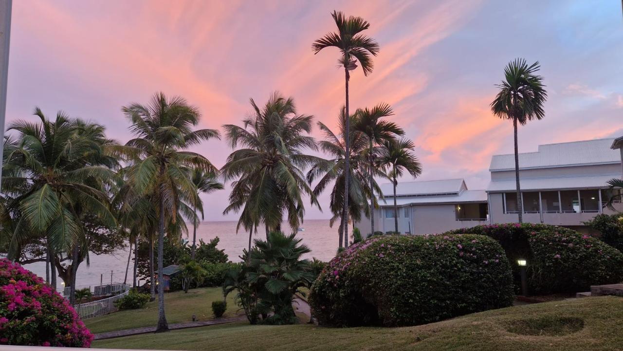 Grand Studio De 41 M², Vue Mer Et Jardin Tropical. Le Gosier  Exterior photo